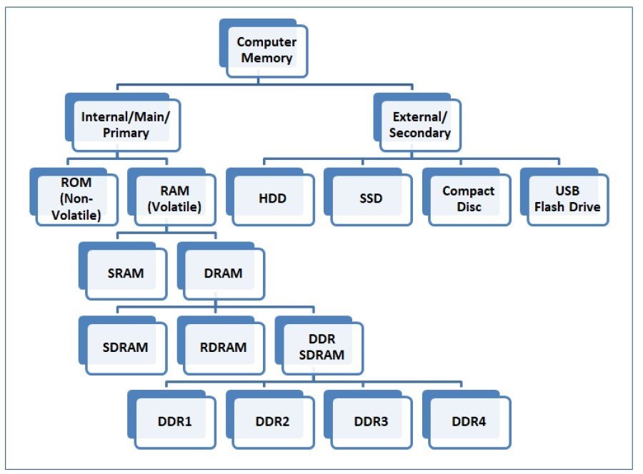 bergson 2 types of memory